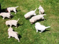 /album/fotos-recentes-/fotos-067-jpg/